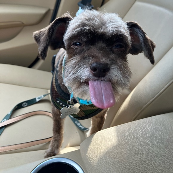 🐾🐾🩵🌊3/23 SHARE GROUP 🌊🩵🐾 - Picture 6 of 17